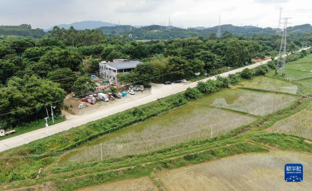 拉菲平台